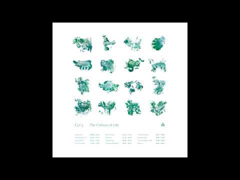 CFCF - Our World