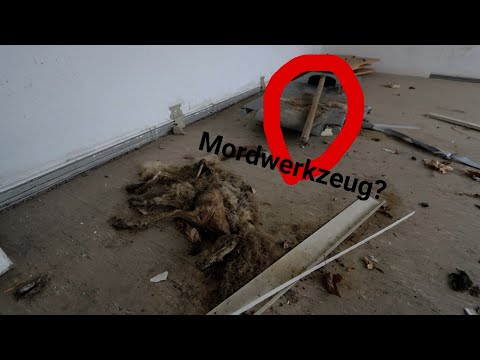 Video: Totes Tier In Einem Sandwich