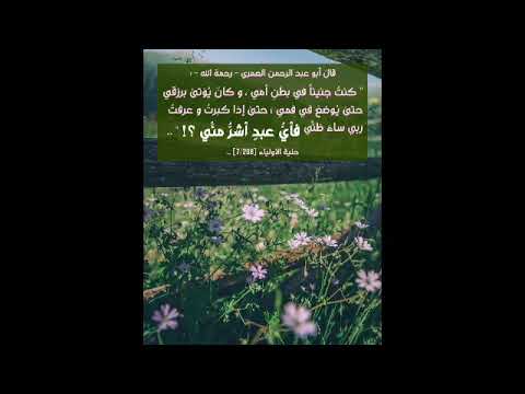 تلاوة تخشع لها القلوب من سورة فاطر للشيخ يوسف الصقير 