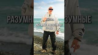 Разумные и не разумные страхи #эдхалилов #мужскаятерритория #мужчины #shorts