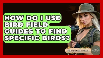 How Do I Use Bird Field Guides To Find Specific Birds? - Bird Watching Diaries