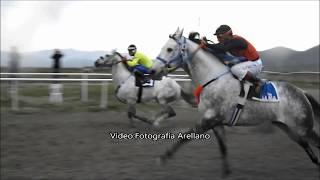 EL HIJO DEL SANTO vs EL CHIVERO (Puerto Mexico)
