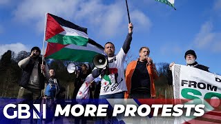 Pro-Palestinian protests in London take place AGAIN reiterating calls for a ceasfire in Gaza