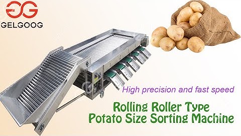 Rolling Roller Type Potato Size Sorting Machine Automatic Potato Grader