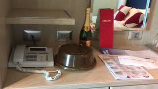 Carnival Vista Cabin 2462 Fully Handicap Acessible