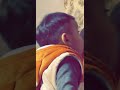 animal voice