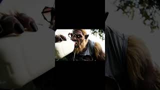 I Tried the Hottest Chip and Instantly Regretted It! #pleasesubscribe