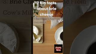 7 fun facts about brie#shorts#shortsfeed