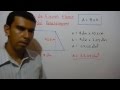 Como calcular el área de un paralelogramo. Ejemplo 6