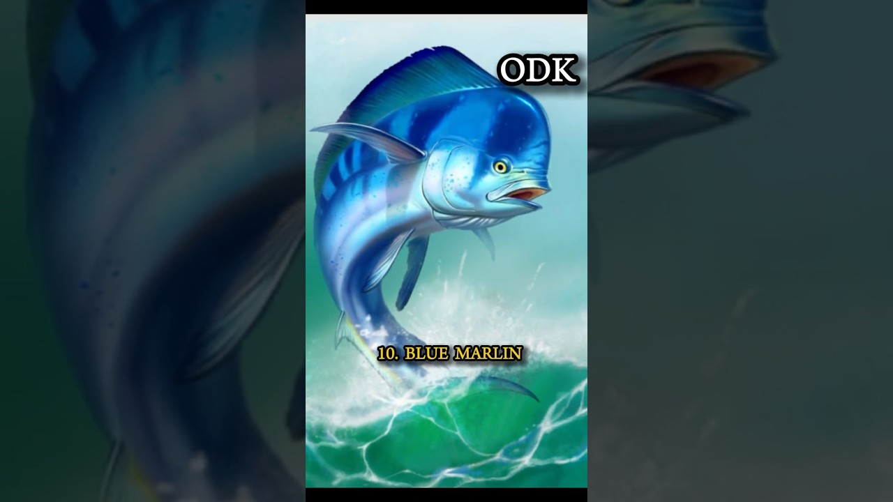 Top 10 Most Beautiful Dangerous Sea Animals | Blue Wonders  