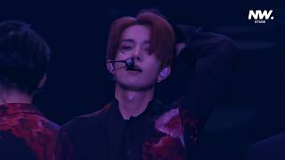 4k 60fps Enhypen   Chaconne  Fate In Japan