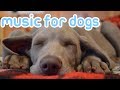 Deep Sleep Relax My Dog Music! Calm Your Dog and Help them Sleep! Deep Sleep Relax My Dog Music! Calm Your Dog and Help them Sleep!