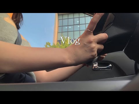 어서오세요. 감 떨어진 저의 브이로그에.