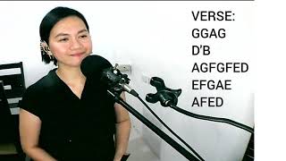 Aubrey Instrumental Tinflute Cover With Tabs