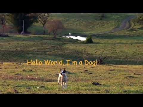 "Hello World, I'm a Dog!" - Motion Tracking with Natron
