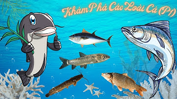 Bé khám phá các nước ngọt và cá nước mặn - phần 1