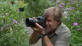 Learn Close-up Photography (Macro) with Pro Photographer Roy Todd