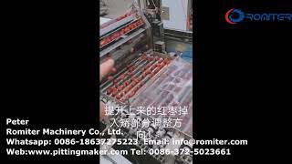 Full Automatic Automatic Dates Pitting and Dates Chips Production Line