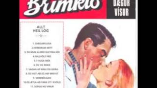 Download Lagu Brimkló - Ég mun aldrei gleyma þér MP3