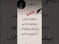mirza ghalib kis kis ko yad hy #poetry #urdupoetry #urdushayari #bestquotes #unfrezzmyaccount #viral