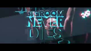 Hardwell & Blasterjaxx - Bigroom Never Dies (Haran Schnitte Bootleg)