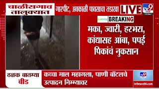 Chalisgaon Unseasonal Rain | चाळीसगाव तालुक्यात गारपीट, अवकाळी पावसाचा तडाखा screenshot 1