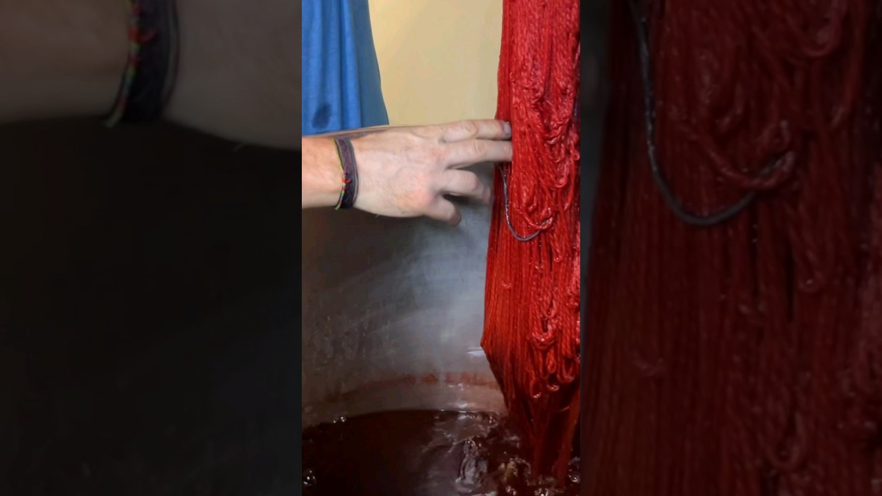 Making natural red color from a plant's root