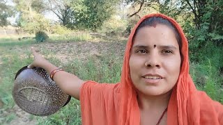 बगिया में आया मोर नाचने ,,,पास जाते ही ओड गया 
