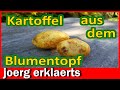 🥔 Kartoffeln auf Balkon oder Terrasse anbauen  Kübel für Balkon   Experiment  DIY Tutorial No363