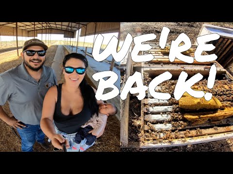 We’re Back! - Winter Hive Preparation - Winter Supplement & Pollen Patties - MelliferaBoost Dusting