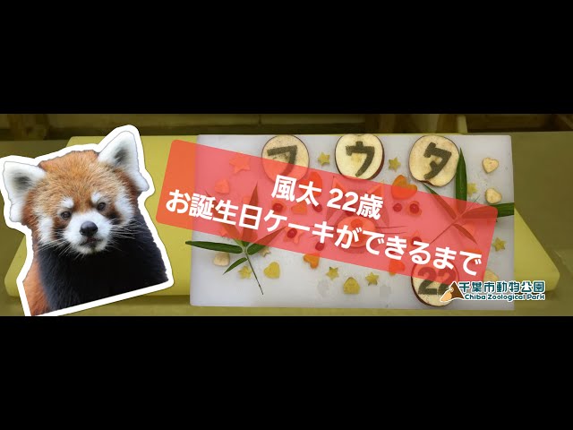 風太22歳 誕生日ケーキができるまで - YouTube