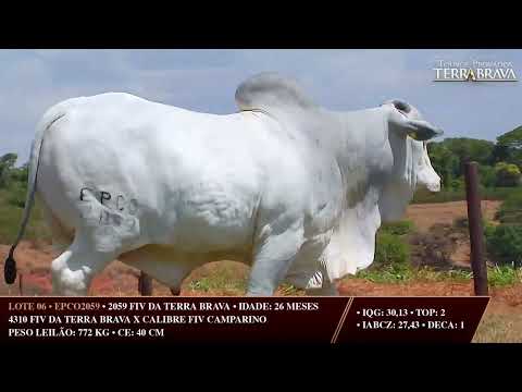 LOTE 06   EPCO 2059