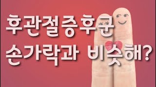 후관절증후군 원인과 정의