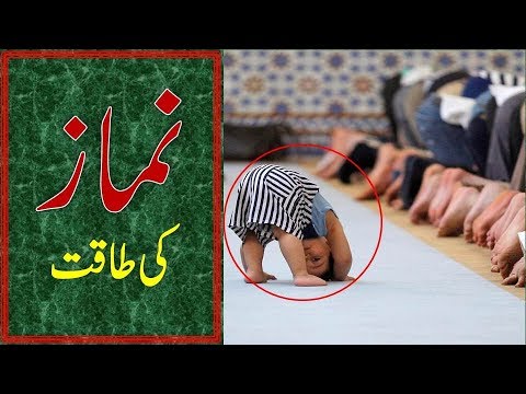 |2017|-namaz-ki-ahmiyat-emotional-molana-tariq-jameel-bayan