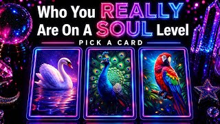 Who You REALLY Are On A SOUL Level ✨ PICK A CARD 🔮 (timeless tarot reading)