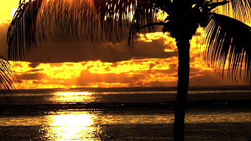 Feel The Love (Chillout Mix) - Project Blue Sun