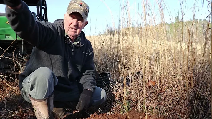 Coyote Cull Trapping Tips: Day 3, How Often To Re-Bait or Re-Lure