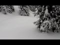 Revelstoke Mountain Resort, March 16, 2014