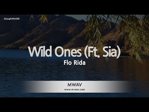 Flo <strong>Rida</strong>-Wild Ones (Ft. Sia) (Melody) [ZZang KARAOKE]