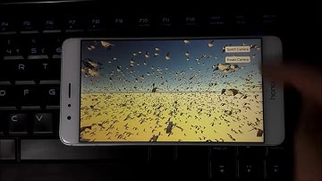 Unity3D GPU Animation Baker Pro Bird Fly Demo Scene On Mobile Device