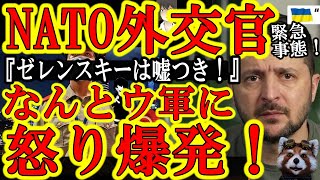 【緊急事態！NATO外交官怒り爆発！『ゼレンスキーはウソつきだ！俺達が陰謀論だと！？』】早く謝罪するんだゼレンスキー！命を懸けて戦っているウ軍の報告が大切なのはわかるよ！でもこのままじゃ取り返しがつか