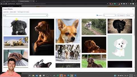 Adding Static Pages To Your Blog With Elementor