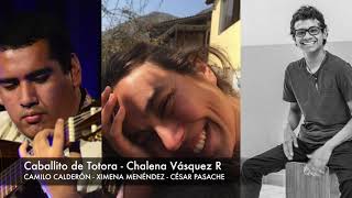 CABALLITO DE TOTORA DE CHALENA VÁSQUEZ Por Camilo Calderón, Ximena Menéndez y César Pasache   20