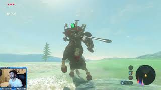 Lynel Are Easy