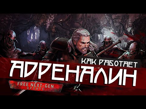 Видео: СКРЫТЫЕ МЕХАНИКИ АДРЕНАЛИНА • THE WITCHER 3 NEXT-GEN UPDATE