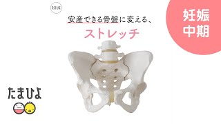 安産できる骨盤に変える ストレッチ たまごクラブ たまひよ公式 Youtube