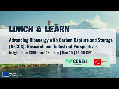 Advancing Bioenergy with Carbon Capture and Storage (BECCS): Research ...