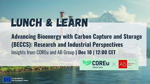 Advancing Bioenergy with Carbon Capture and Storage (BECCS): Research and Industrial Perspectives