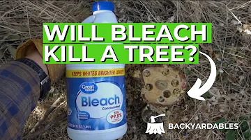 What household item kills trees?