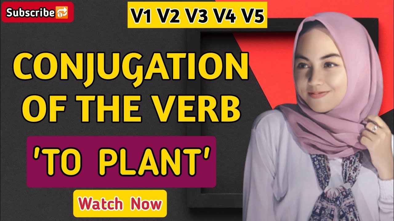 Conjugation English Verb to Plant V1 V2 V3 V4 V5 Form of Plant YouTube